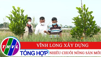 Nông nghiệp bền vững: Vĩnh Long xây dựng nhiều chuỗi nông sản mới