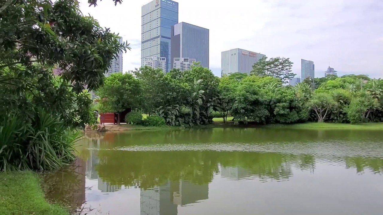 A lake at the park in Shenzhen's city center