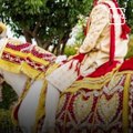 Bride Wears Sherwani And Rides A Horse On Wedding Day