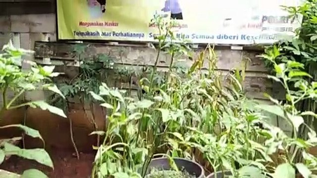 Aiptu Sulaiman Amir, Ubah Danau Kotor Menjadi Danau Wisata