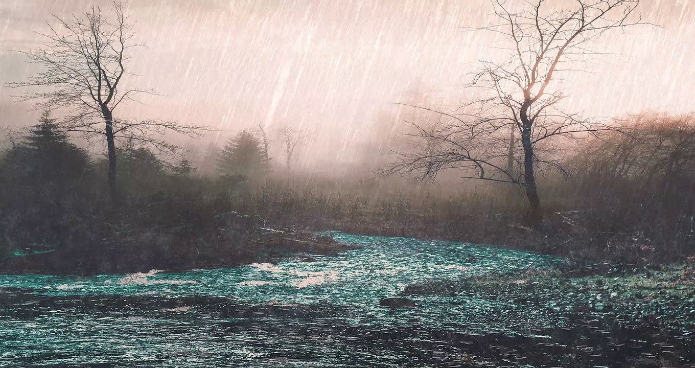 Video Beautiful Rain | Rain falls on Swamps the Rainforest
