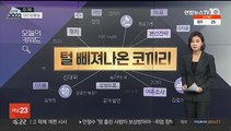 [대선상황실] 이준석-조수진 '집안싸움'…털 삐져나온 코끼리 선대위