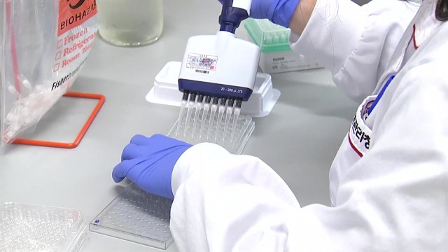 국내 개발 코로나 백신 첫 효능평가... 백신 개발 마지막 단계 / YTN