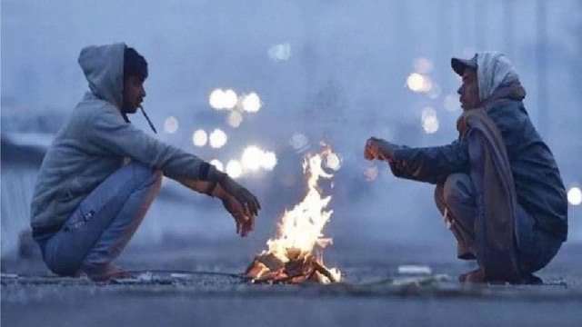 Cold Wave in India: Watch ground report from Madhya Pradesh