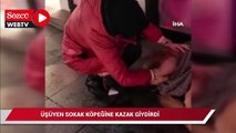 Üşüyen sokak köpeğine mağazadan aldığı kazağı giydirdi