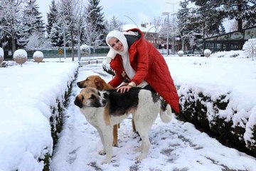 Download Video: Üşüyen sokak köpeğine mağazadan aldığı kazağı giydirdi