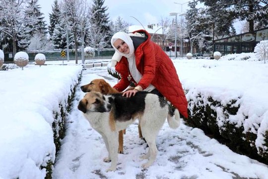 Üşüyen sokak köpeğine mağazadan aldığı kazağı giydirdi