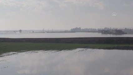 Sağanak sonrası temizlik çalışmaları başlatıldı