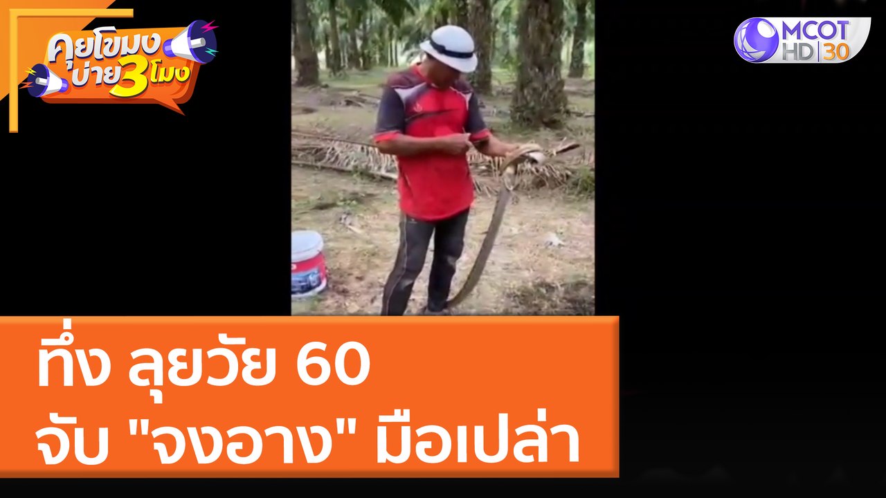 ทึ่ง ลุยวัย 60 จับ "จงอาง" มือเปล่า (21 ธ.ค. 64) คุยโขมงบ่าย 3 โมง