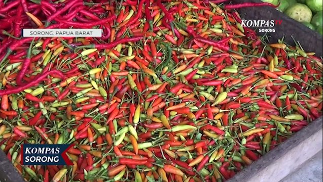 Jelang Nataru Harga Cabai Rawit Di Sorong Mengalami Kenaikan