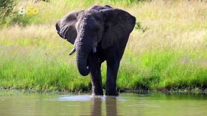 Check Out This Dream Job Traveling the World For a Year