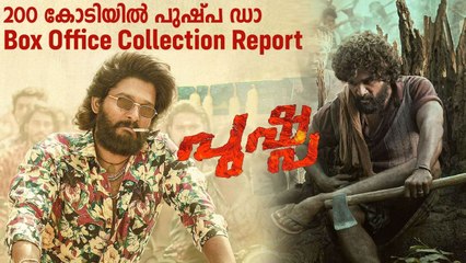 Pushpa-The Rise- Box office collection report | Oneindia Malayalam