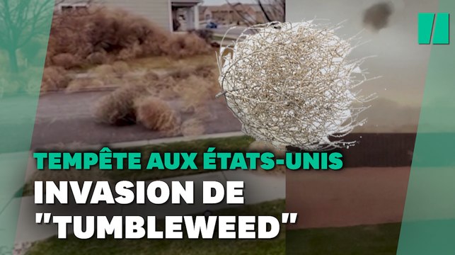 Au Colorado, les rues sont envahies par les tumbleweed après la tempête de poussière