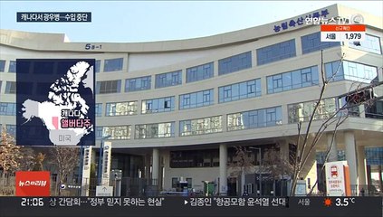캐나다 6년 만에 광우병 발생…수입검역 중단