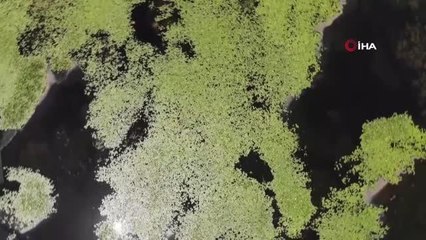 2021 yılının drone panorama görüntüleri