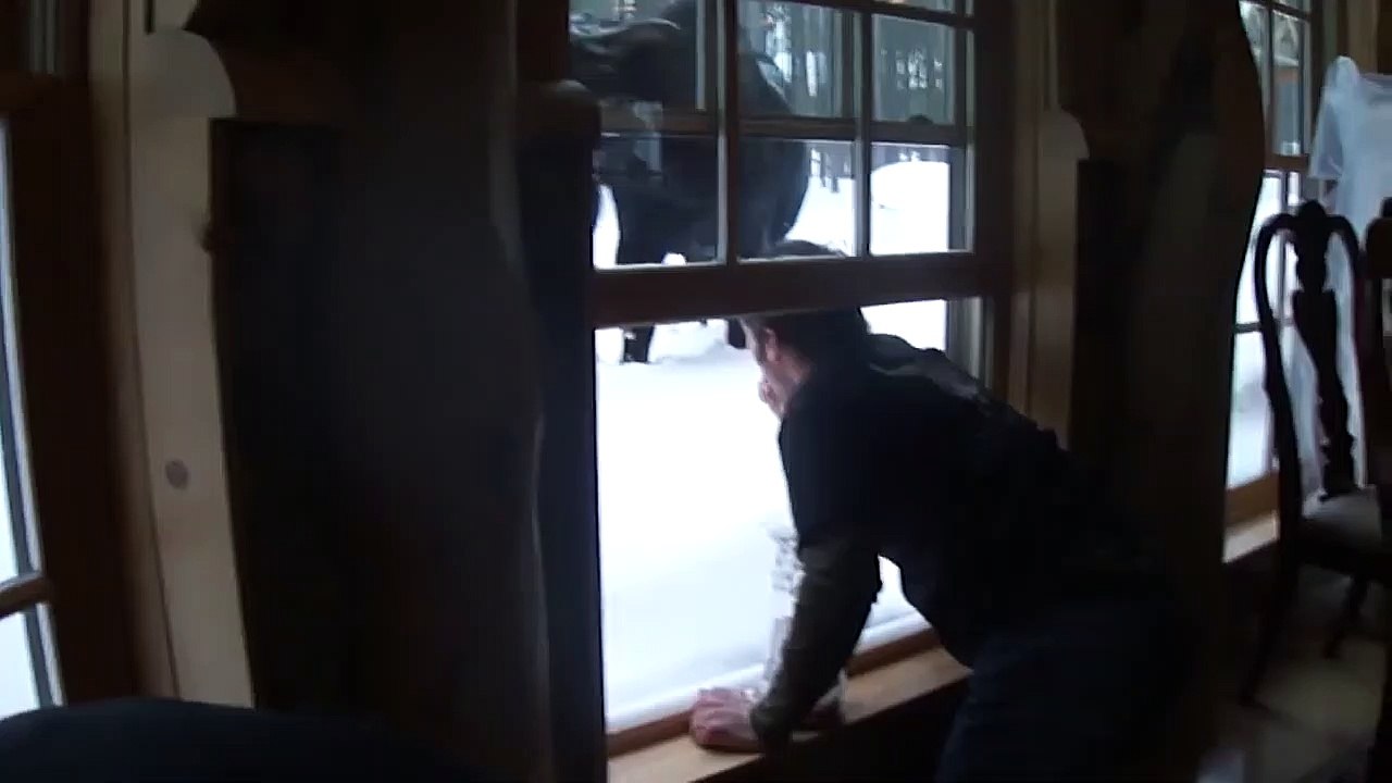 Quand des élans te rendent visite chez toi