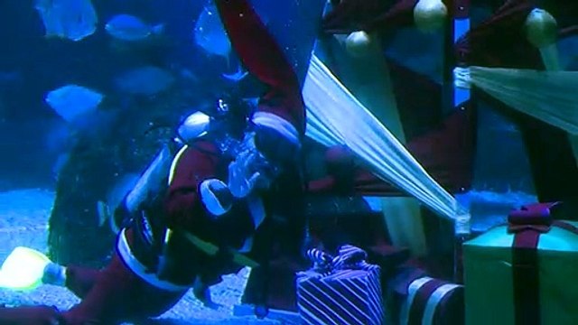 غطاسون بأزياء سانتا كلوس احتفاء بالميلاد في إندونيسيا