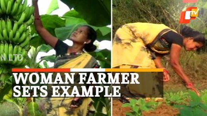 Woman Turns Barren Land Into Green Farm, All On Her Own