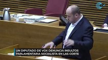 Un diputado de Vox denuncia insultos de una parlamentaria socialista en las Cortes Valencianas