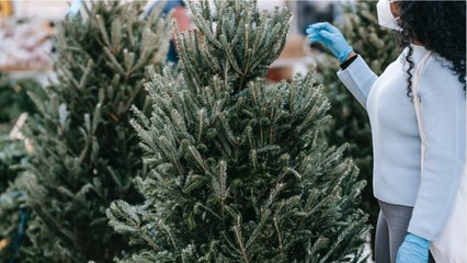 FEMME ACTUELLE - Covid-19 : "Noël est en danger", les prévisions inquiétantes de l’Institut Pasteur