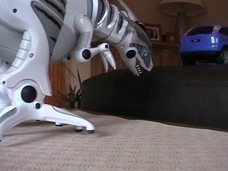 Double Trouble at Jurassic Park