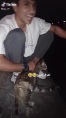 KEDİYİ GÖLE ATANLAR YAKALANDI