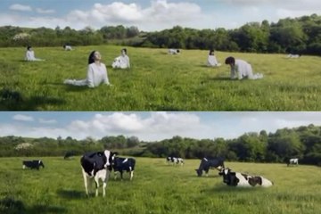 إعلان شركة حليب يصور النساء على أنهن أبقار