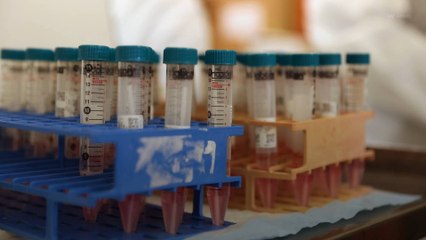 L'Union européenne approuve le nouveau vaccin Novavax