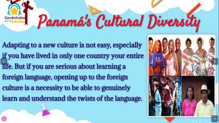 11° Media | Inglés 03-12-2021