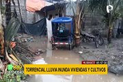 Huánuco: torrencial lluvia inunda viviendas y varias hectáreas de cultivos