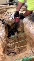 Plumbers Cutting Plugged Sewer Pipe Explodes