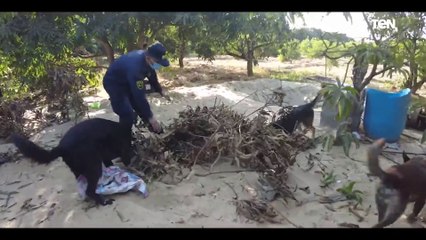 ضبط.. 215 كيلو جرام لمخدر الهيروين.. الموقف الأمنى عن يوم الثلاثاء 21-2-2021