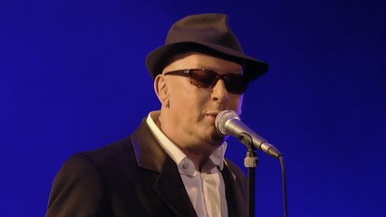 Alain Bashung - La nuit je mens