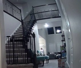 Lady With Sixth Sense Catches Kitten Falling off Stairway