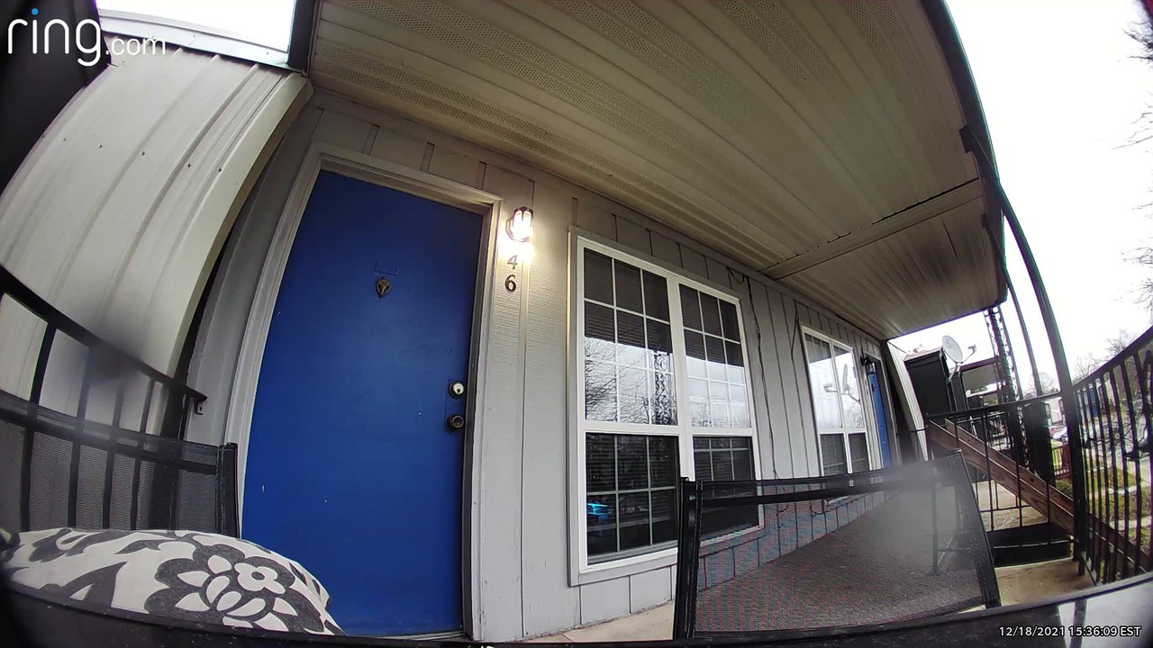 Squirrel Thwarted by Doorbell Camera