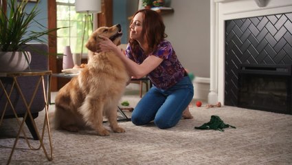 Dogs Will Never Tell Your Secrets