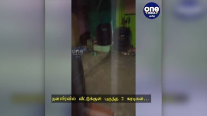 நீலகிரி: நள்ளிரவில் வீட்டுக்குள் புகுந்த 2 கரடிகள்… பீதியில் உறைந்த மக்கள்!