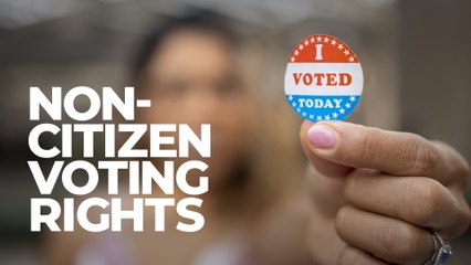 NYC Non Citizen Voting Clean