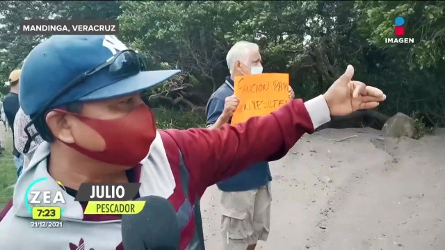Pescadores denuncian destrucción de manglares en Veracruz