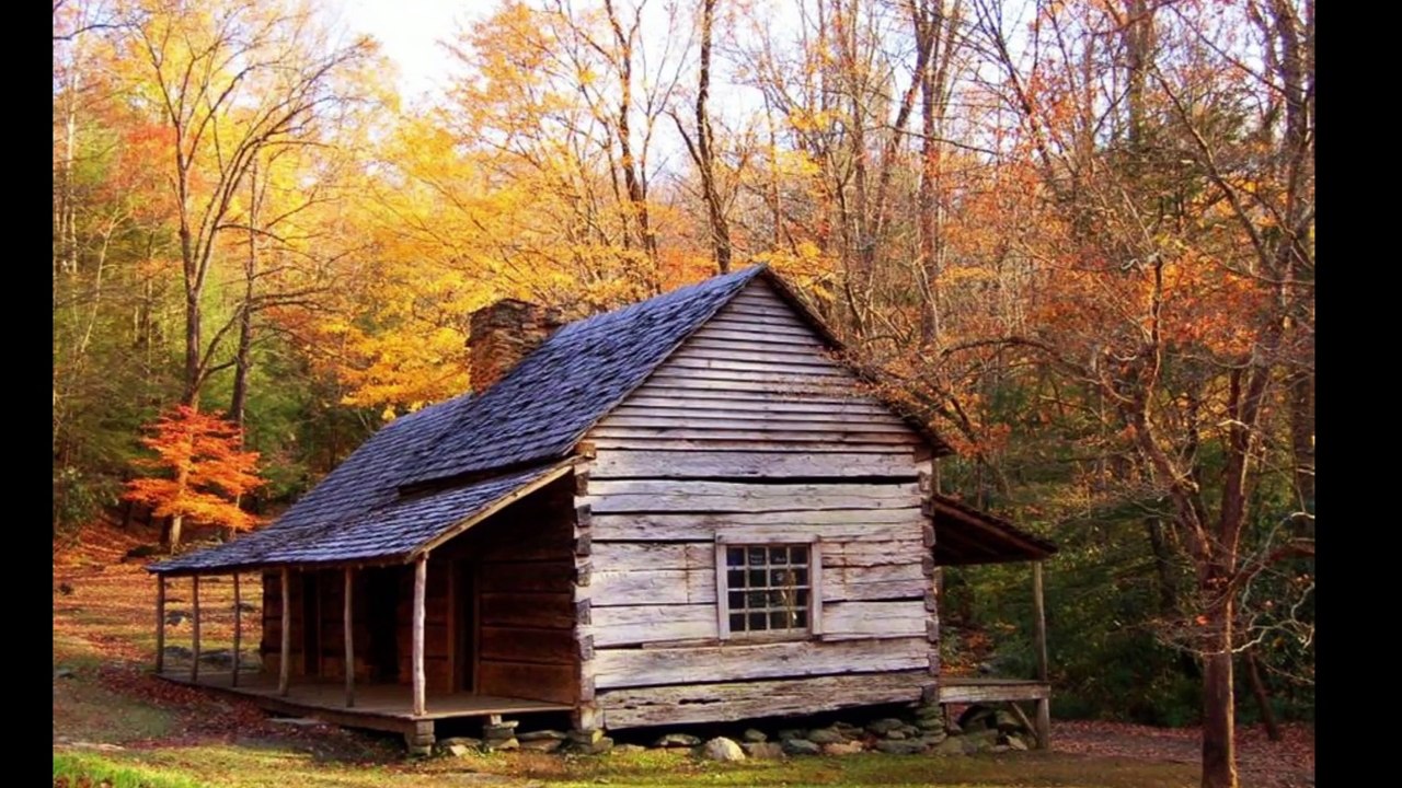 Build Me A Cabin In The Woods Dr. Robert Ownby