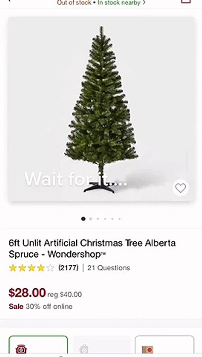 Expectation vs. Reality: Christmas Tree Edition
