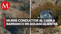 Conductor muere al caer en un barranco en Aguascalientes