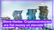 Steve Hanke: 'Cryptocurrencies are fiat money on steroids'