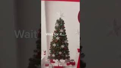 Expectation vs. Reality: Christmas Tree Edition