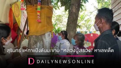 ชาวสุรินทร์ แห่ทาแป้งต้นมะขาม-เสี่ยงเซียมซี “หลวงปู่สรวง” หาเลขเด็ด | ชนคลิปข่าว 22/12/64 เดลินิวส์