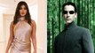 Keanu Reeves Priyanka Chopra The Matrix Retrospective Review Spoiler Discussion