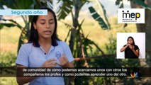 #AprendoEnCasa Sociales: Participación en procesos electorales (Segundo Año Primaria)