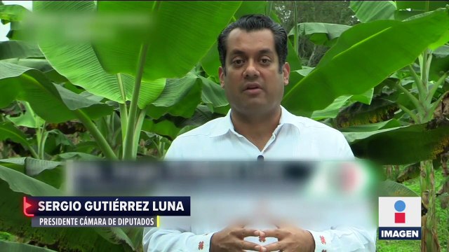 Demandan al INE por aplazar consulta de Revocación de Mandato