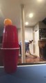 Guy Displays Amazing Trickshot Using Cups And a Small Ball