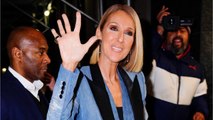 FEMME ACTUELLE - Céline Dion se déshabille sur Instagram, ses fans sont conquis